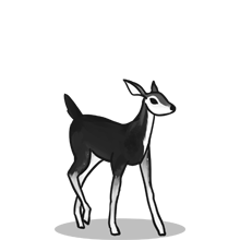 怎么买{固定网站名称23}