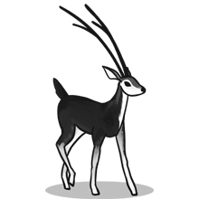 在线轰炸机电话软件